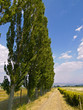 Landscape Landscape