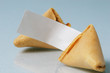 Blank Fortune Cookie Blank Fortune Cookie