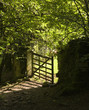 Five Barred Gate