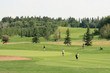 Approaching The Green