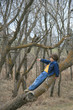 Boy Climbing Tree