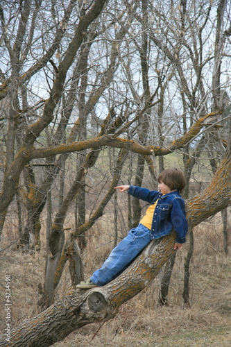 Photo: Boy Climbing Tree Boy Climbing Tree