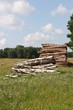 holzstapel auf sommerlicher wiese
