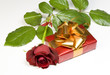 gift