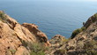 La Méditerranée