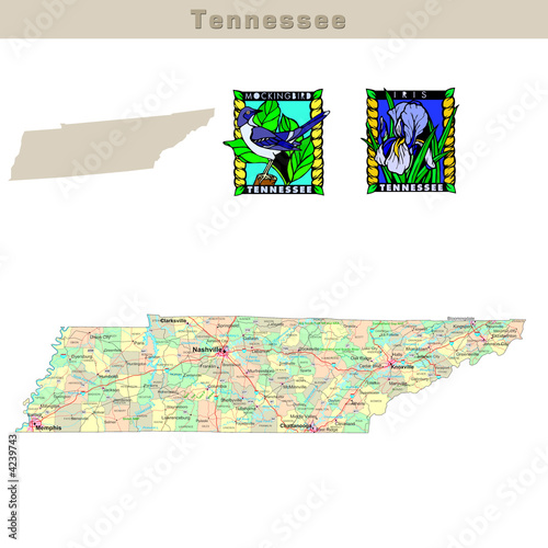USA states series: Tennessee. Political map with counties USA states series: Tennessee. Political map with counties