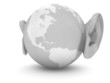 Globe