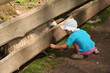 Feeding animals