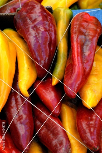 peperoni peperoni