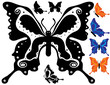 Butterfly Design Ornamental Art 7