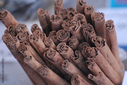 cannella cannella