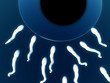 Sperm 8