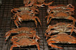 barbequed red crabs thai street gourment