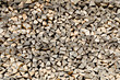 the woodpile of brich firewood