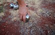 petanque