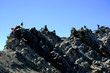 Climbing Rocky Ridge