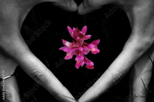 coeur de fleur