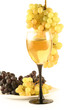 Bottle of wine, glass and grapes isolated on white . Bottle of wine, glass and grapes isolated on white .