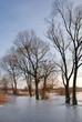 Winter by the river Winter by the river