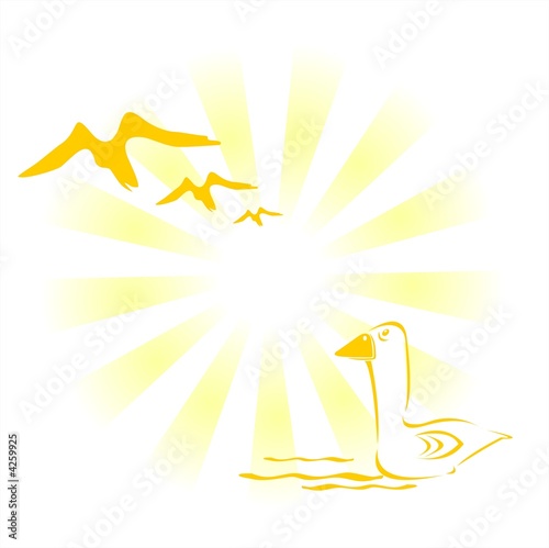 Illustration: Birds and sun Birds and sun