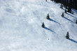 Winterlandschaft 12