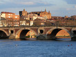 Photographie : Bord de Garonne