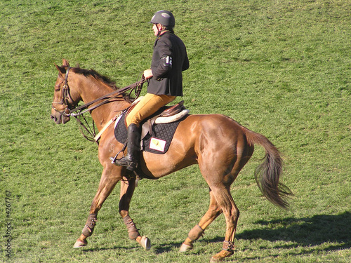 Foto: stopping the horse stopping the horse