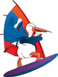 surfing