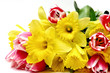 Tulips and daffodils