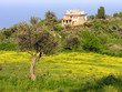 Photo: Villa in Griechenland Villa in Griechenland