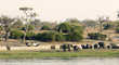 Game drive