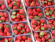 fraises