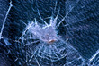 cracked glass