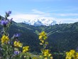 Mont Blanc