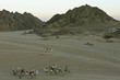 Foto: CAMMELLATA NEL DESERTO CAMMELLATA NEL DESERTO