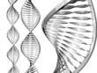 dna adn strands