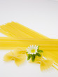 pasta pasta