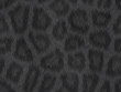 Textura Fondo Animal Textura Fondo Animal
