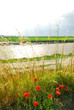 Landscape in Brittany