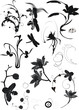 collection of floral elements