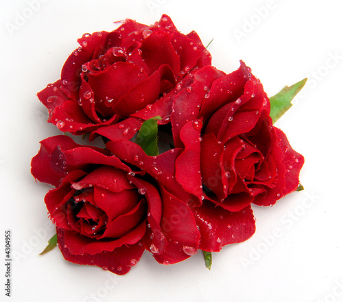 blumen 2
