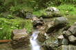 Bachlauf im Thueringerwald