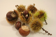 IMG_5938marrons.JPG