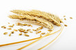 wheat ears and grains wheat ears and grains