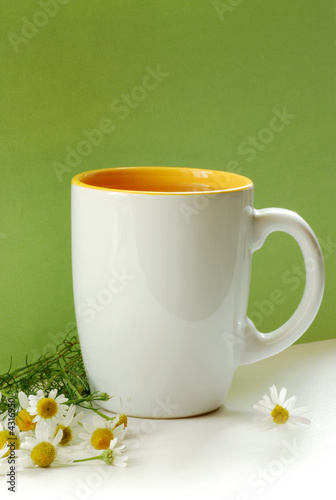 Photo: tazza con tisana sul verde sfondo tazza con tisana sul verde sfondo