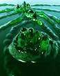 Splish Splash 5