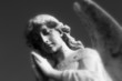 concrete angel