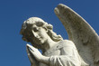 angel in sky