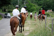 Promenade chevaux