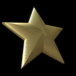 star gold model
